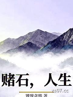 赌石，人生 作者：饕餮贪熊 分类：小说