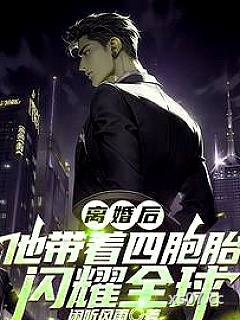 离婚后，他带着四胞胎闪耀全球小说封面-闲听风雨-都市