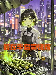 我在半岛卖烧烤小说封面-懒小驴的红鲤鱼绿鲤鱼-都市