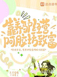 穿成寨主，靠养驴经营阿胶坊致富小说封面-三千金兔-都市