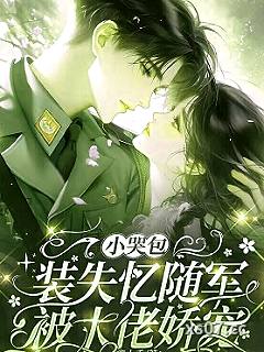 小哭包装失忆随军，被大佬娇宠小说封面-鑫小禾-言情
