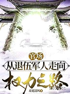 权力：巅峰之路小说封面-未见清风-都市