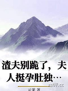 渣夫别跪了，夫人挺孕肚独美了小说封面-元莱-都市