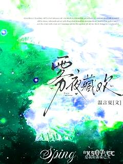 雾夜藏欢小说封面-温言夏-言情