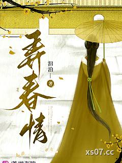 弄春情小说封面-汩泊-都市