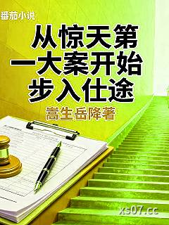 从惊天第一大案开始步入仕途小说封面-嵩生岳降-都市