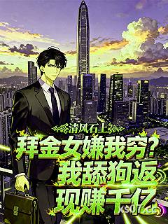 拜金女嫌我穷？我舔狗返现赚千亿小说封面-清风石上-都市