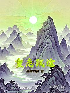 重走政途小说封面-乱喵的猫-都市