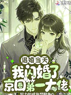 退婚当天，我闪婚了京圈第一大佬小说封面-努力的咸鱼想翻身-都市