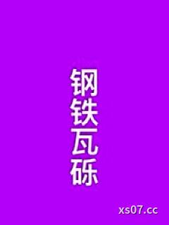 钢铁瓦砾小说封面-罗群-都市