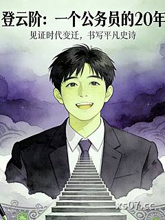 登云阶：一个公务员的20年小说封面-快乐欢愉家-都市