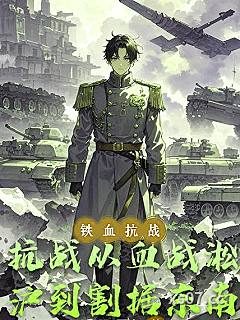 抗战：从血战淞沪到割据东南小说封面-郧阳居士-都市