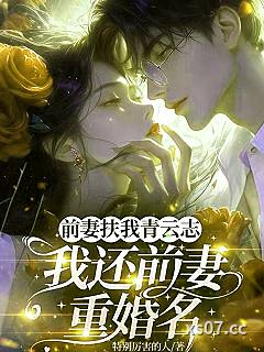 前妻扶我青云志，我还前妻重婚名小说封面-特别厉害的人-言情