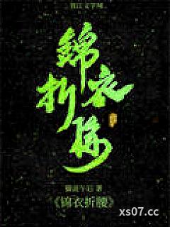 锦衣折腰小说封面-猫说午后-都市
