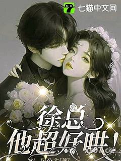 徐总，他超好哄！小说封面-晏公主-言情