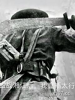 抗战：血战湘江后，我直进太行小说封面-镂空的书-都市