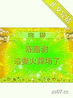 我那不可一世的初恋小说封面-京我来思-都市