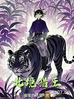 北境猎王 作者：璀璨的流星