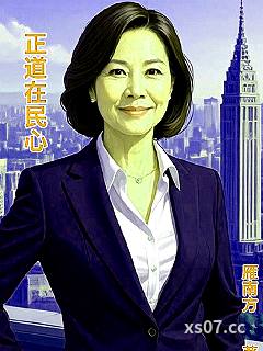 正道在民心小说封面-雁南方-都市