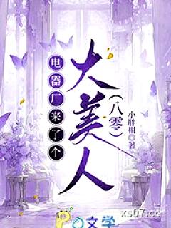电器厂来了个大美人[八零]