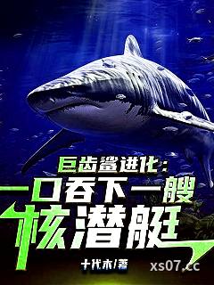 巨齿鲨进化：一口吞下一艘核潜艇小说封面-十代木-都市
