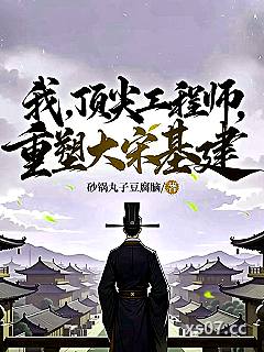 我，顶尖工程师，重塑大宋基建小说封面-砂锅丸子豆腐脑-历史