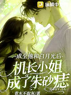 成全他和白月光后，机长小姐成了朱砂痣小说封面-青木不取灰-都市