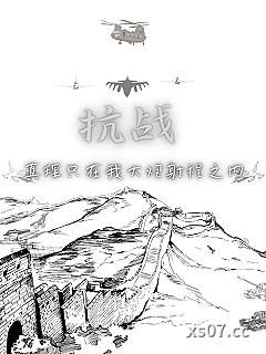 抗战：真理只在我大炮射程之内 作者：大海微笑 分类：小说