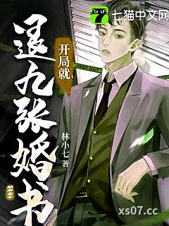 开局就退九张婚书小说封面-林小七-都市