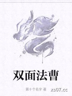 双面法曹