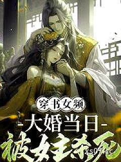 穿书女频，大婚当日被女主杀死