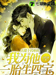 大佬十代单传，我为他一胎生四宝 作者：白生米 分类：小说
