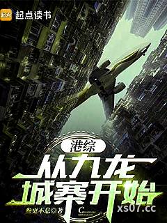 港综从九龙城寨开始小说封面-叁更不息-都市