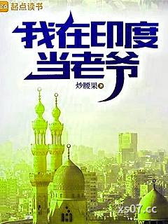 我在印度当老爷小说封面-炒腰果-都市