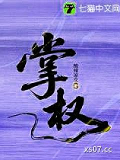掌权小说封面-酸辣凉皮-都市
