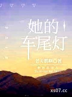 她的车尾灯[公路]