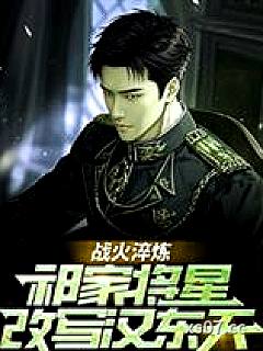 战火淬炼：祁家将星改写汉东天小说封面-十月亥时-军事