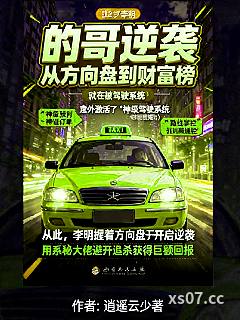的哥逆袭：从方向盘到财富榜 作者：逍遥云少