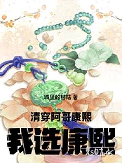 清穿：阿哥，康熙，我选康熙