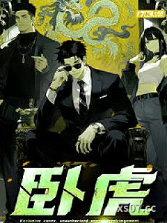 卧虎小说封面-寻飞12-言情