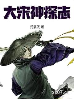 大宋神探志