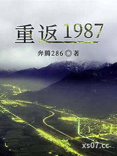 重返1987小说封面-奔腾286-都市