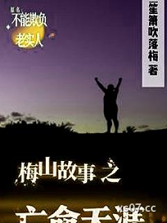 梅山故事之亡命天涯小说封面-笙箫吹落梅-都市