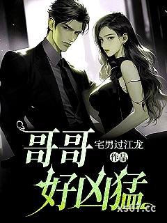 哥哥好凶猛小说封面-宅男过江龙-都市