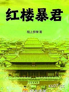 红楼暴君小说封面-榻上参禅-历史