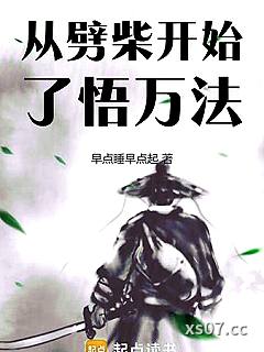 从劈柴开始了悟万法