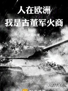 人在欧洲，我是古董军火商