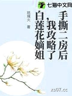 岁岁春欢小说封面-琉璃火-言情