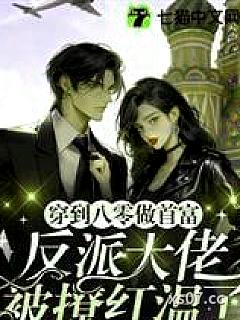 八零毛国当倒爷，我为国家换飞机 作者：情丝入你心 分类：小说