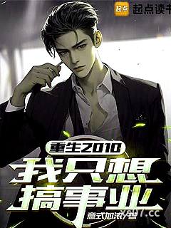 重生2010：我只想搞事业小说封面-意式加浓-都市